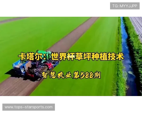 盘点世界杯史上的“草皮争议”：解析地热、水分与修剪高度的秘密博弈。